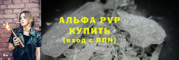 шишки Мегион
