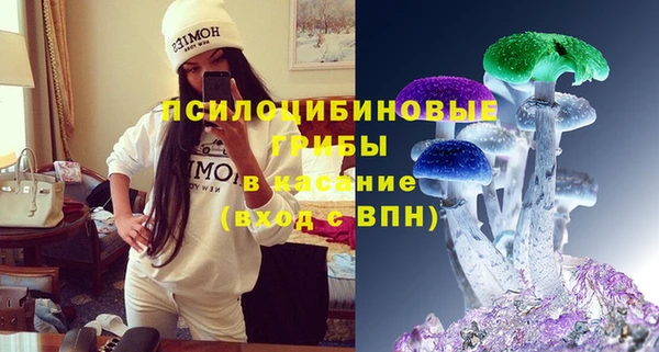 шишки Мегион
