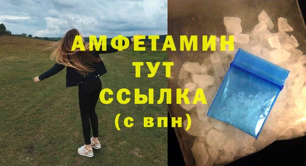 шишки Мегион