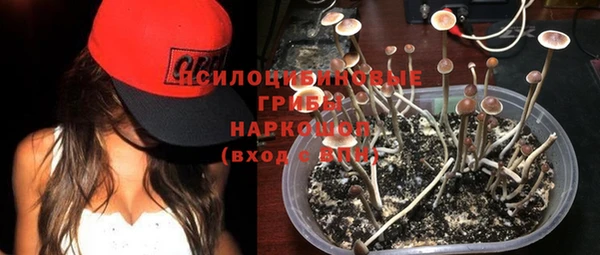 шишки Мегион