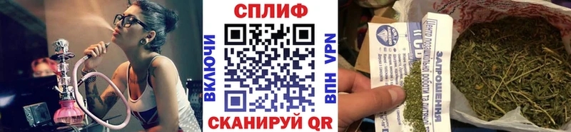нарко площадка клад  OMG онион  Гдов  Конопля конопля 